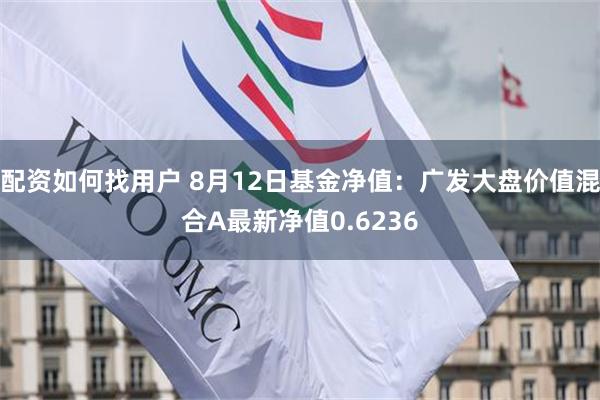 配资如何找用户 8月12日基金净值：广发大盘价值混合A最新净值0.6236