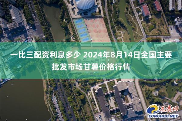 一比三配资利息多少 2024年8月14日全国主要批发市场甘薯价格行情