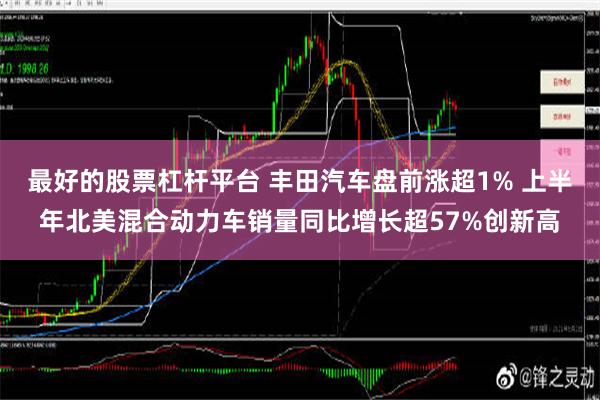 最好的股票杠杆平台 丰田汽车盘前涨超1% 上半年北美混合动力车销量同比增长超57%创新高