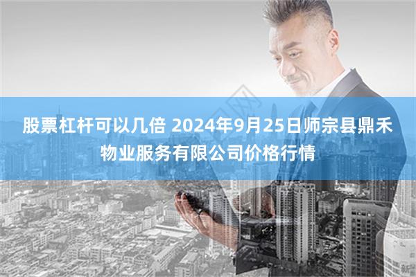 股票杠杆可以几倍 2024年9月25日师宗县鼎禾物业服务有限公司价格行情