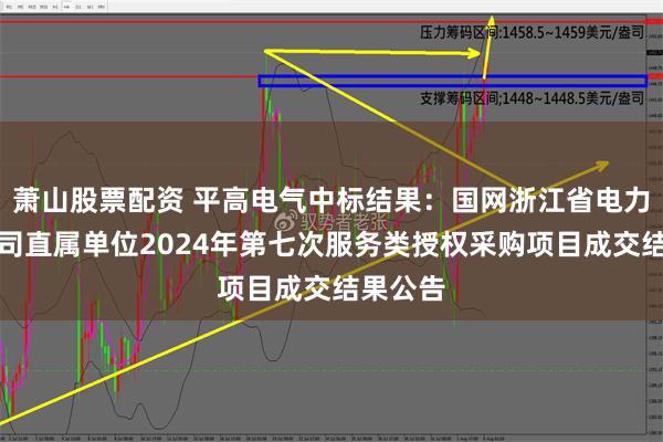 萧山股票配资 平高电气中标结果：国网浙江省电力有限公司直属单位2024年第七次服务类授权采购项目成交结果公告