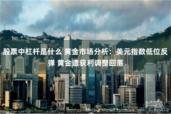 股票中杠杆是什么 黄金市场分析：美元指数低位反弹 黄金遭获利调整回落