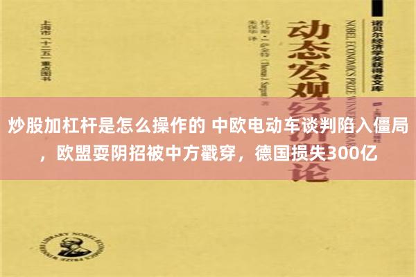 炒股加杠杆是怎么操作的 中欧电动车谈判陷入僵局，欧盟耍阴招被中方戳穿，德国损失300亿