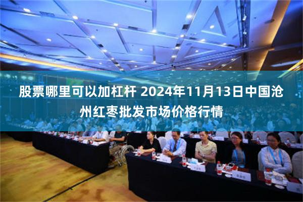 股票哪里可以加杠杆 2024年11月13日中国沧州红枣批发市场价格行情