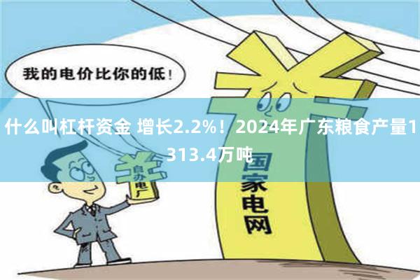 什么叫杠杆资金 增长2.2%！2024年广东粮食产量1313.4万吨