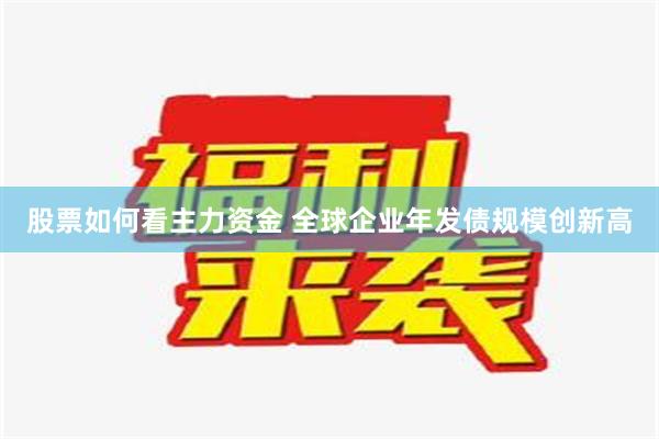 股票如何看主力资金 全球企业年发债规模创新高